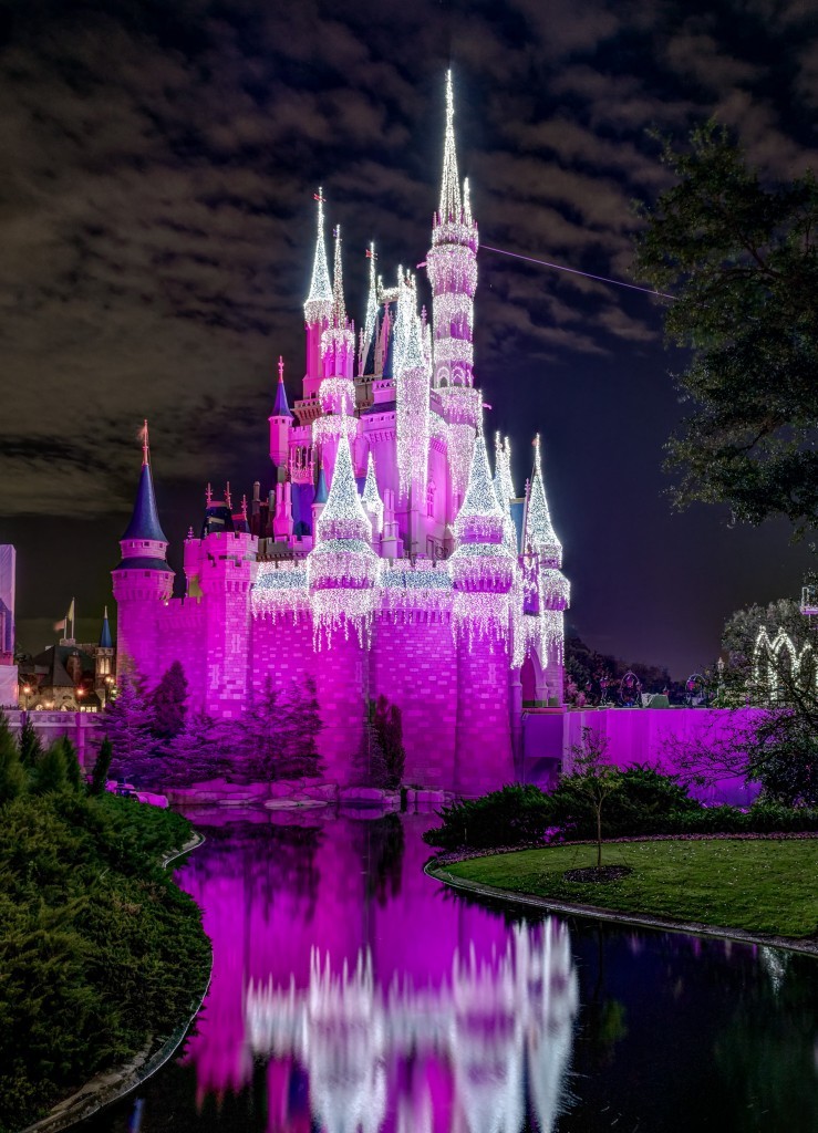 Cinderella Castle lit up at night and reflected in the moat at Magic Kingdom, Walt Disney World Cinderella Castle lit up at night and reflected in the moat at Magic Kingdom, Walt Disney World