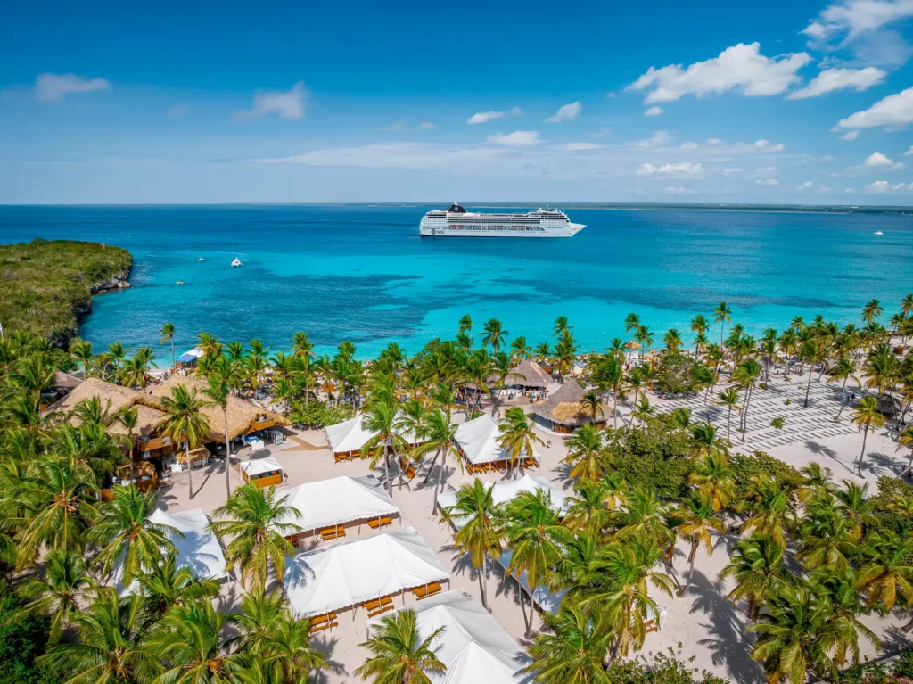 Aerial view of a palm-lined beach and MSC ship near Catalina Island, Dominican Republic