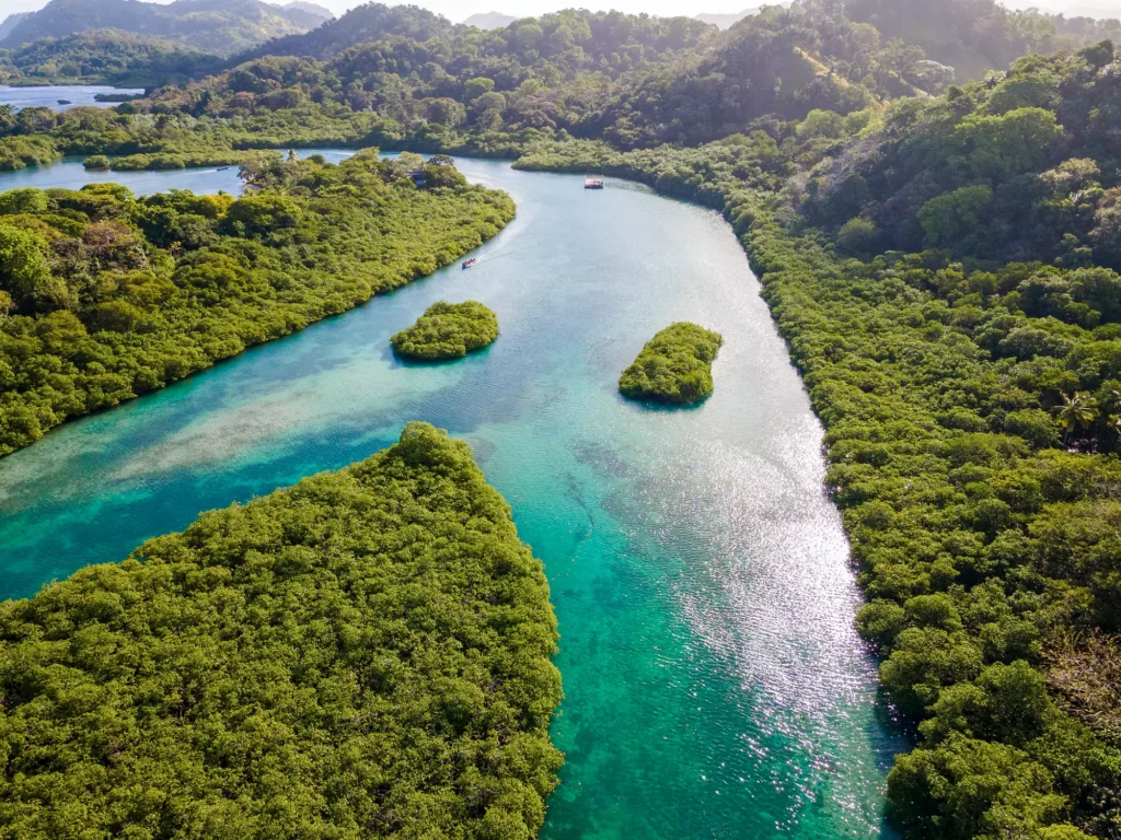 Aerial view of the serene Venas Azules Colon, showcasing lush greenery and waterways in Panama