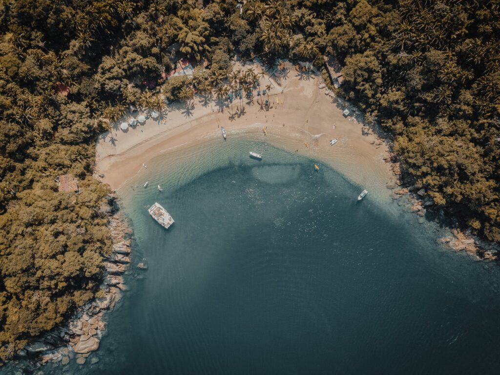 Beach and palm trees in Puerto Vallarta, Mexico