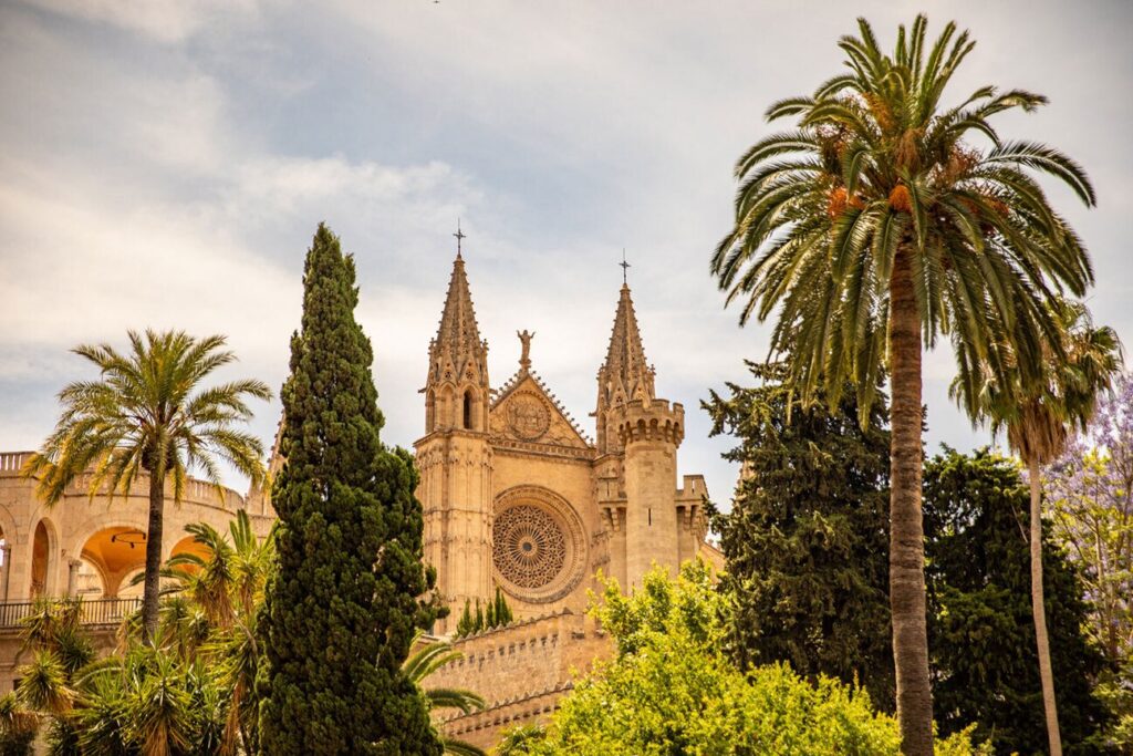 La Seu Cathedral framed by palm trees in Palma de Mallorca