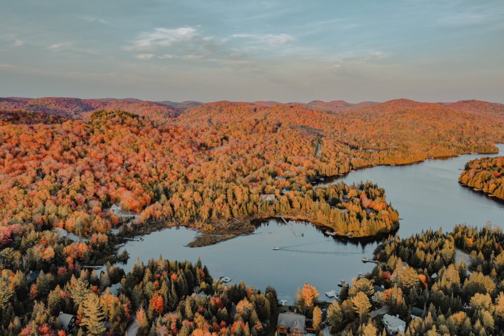 Lake and fall forest in New England