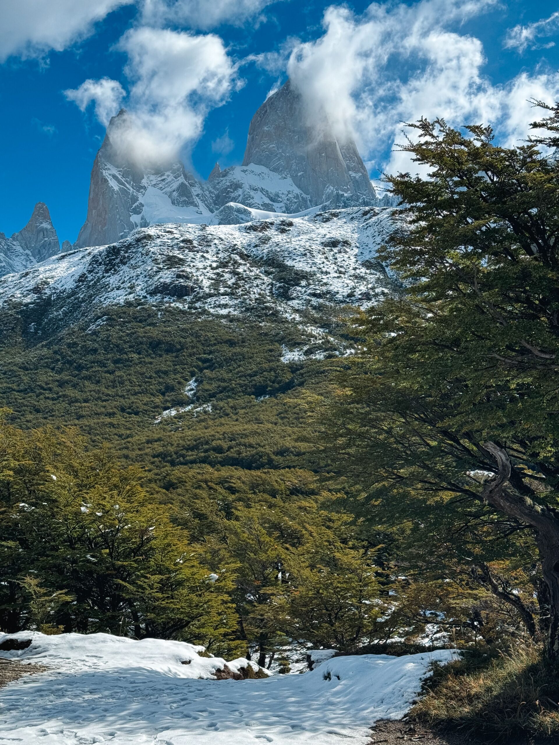 Granite peaks rising above a river and forest in Patagonia