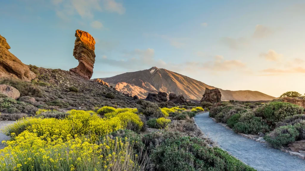 Roques de Garcia and wildflowers in Teide National Park, Tenerife