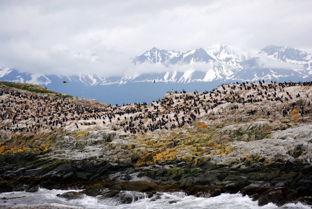 Rugged coast of Tierra del Fuego, Argentina