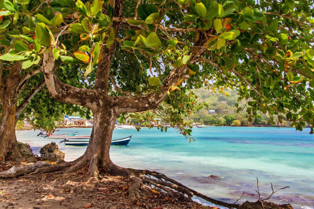 Sapzurro bay in Colombia's Darién region