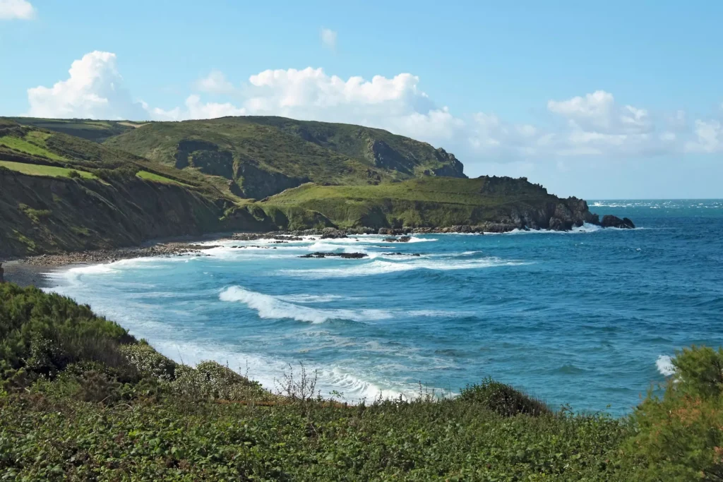 Waves on a beach surrounded by greenery in Northern France